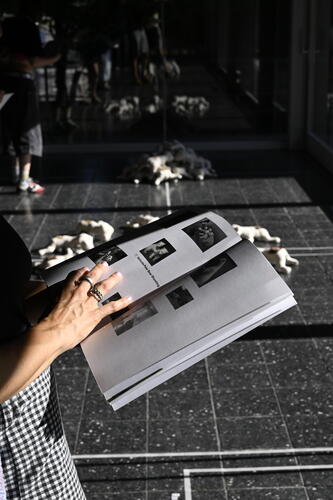 Picture: Ambassadors - Ausstellungsansicht