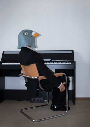 Bild:  No Feeding_01