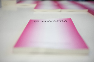 Bild:  Launch von Schwarm