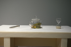 Picture: Imaginary Gardens with Real Toads in Them