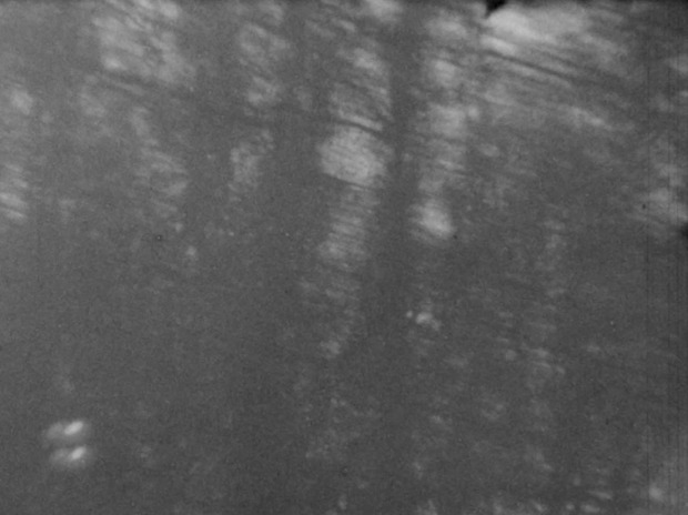 Picture: (Filmstill) Das Wasser ist silberhell und durchsichtig und möchte unberührt sein