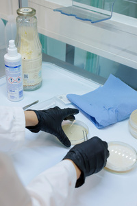 Bild:  Bio Design Lab at the HfG Karlsruhe