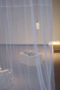 Bild:  Imaginary Gardens with Real Toads in Them