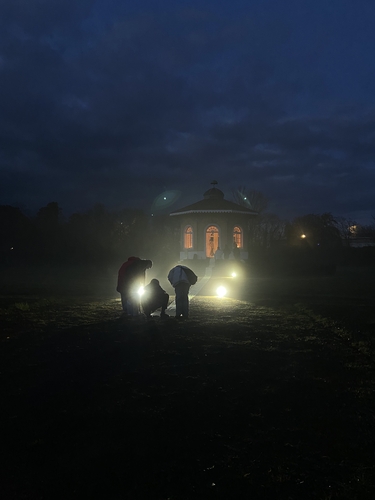 Picture: Außenansicht Teehaus Nacht _ 2