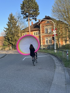 Bild:  Why not transporting a pool through Karlsruhe on a motorcycle?