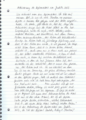 Picture: Prolog 1 (Pavillon) - Archivierung der Diplomarbeit  (maskiert)