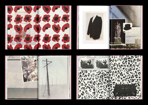 Bild:  Leaving on a High Note – Book Scan