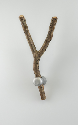 Bild:  Forest Hook 