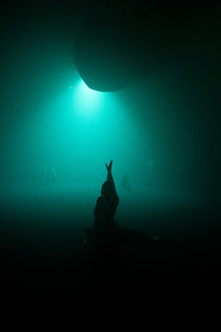 Bild:  Midnight Zone