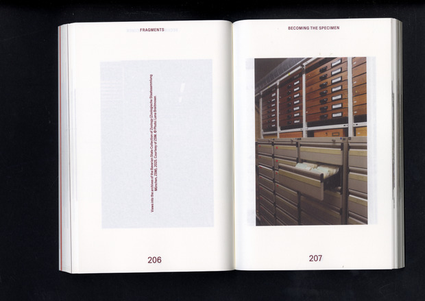 Picture: The Violent Container