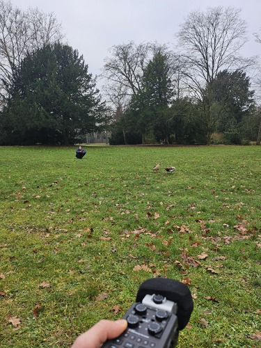 Picture: dokument_004