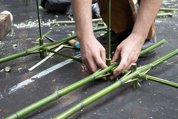 Bild:  Education programme Invasive plants