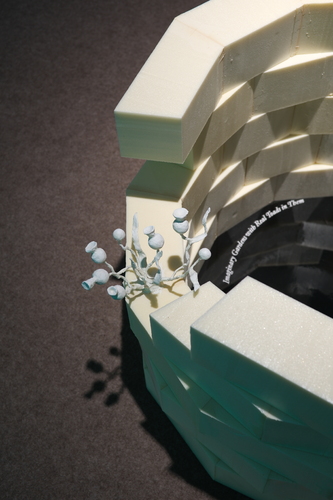 Picture: Imaginary Gardens with Real Toads in Them