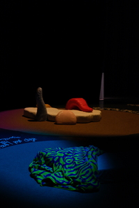 Bild:  Elusive Unrealities – On Calling, Grasping & Awakening Dreams