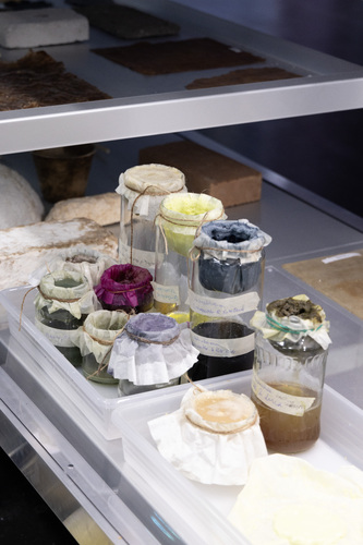 Bild:  Education programme Food waste