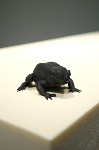 Picture: Imaginary Gardens with Real Toads in Them