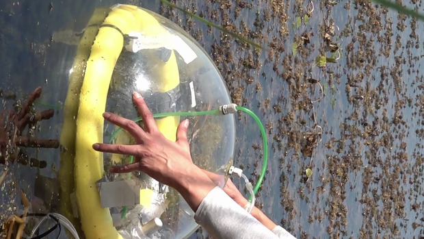 Bild:  video stills