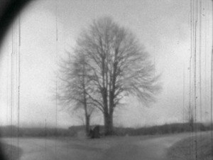 Picture: (Filmstill) Das Wasser ist silberhell und durchsichtig und möchte unberührt sein