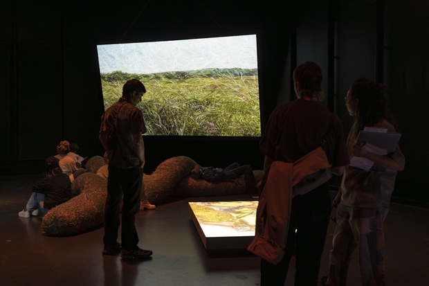 Bild:  Bilder der Ausstellung