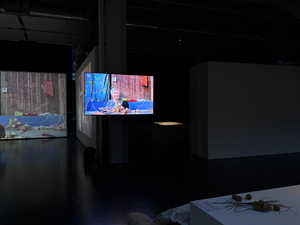 Picture: NVSHU - Nüshu: 2. Raum