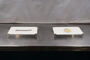 Bild:  Archivfoto_02