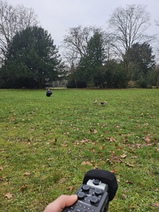 Picture: dokument_004