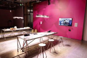 Picture: Exhibition Common Grounds