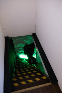 Bild:  Ausstellungsdokumentation MS Guilty Pleasure