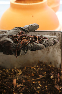 Picture: Physical Living Library Composter