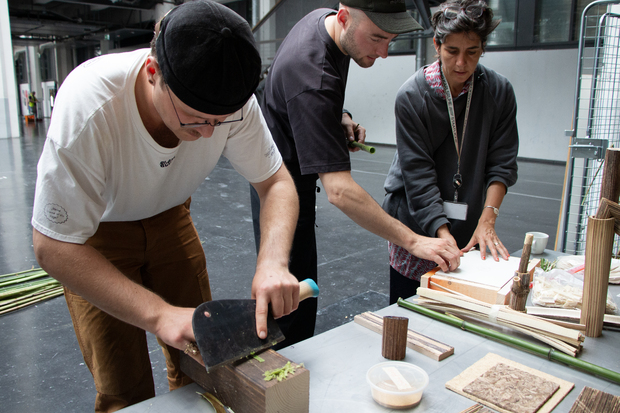 Bild:  Education programme Invasive plants