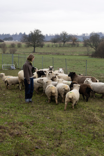 Picture: Education programme Wool