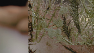 Bild:  video stills/Doku Video