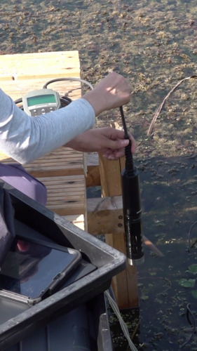 Bild:  video stills