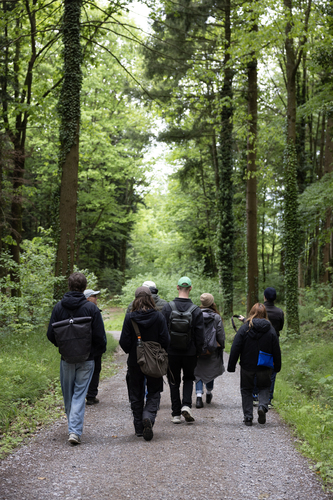 Picture: Education programme Wood