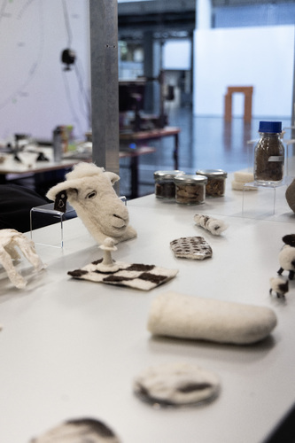 Picture: Education programme Wool