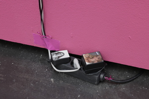 Picture: Detail. Susan Sontag and Luna Gil 