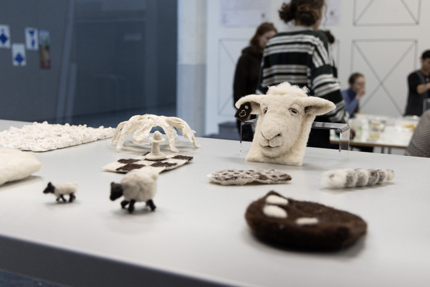 Picture: Education programme Wool