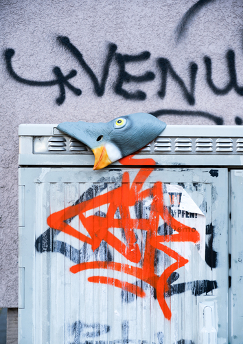 Bild:  No Feeding_04