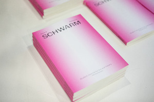 Picture: Launch von Schwarm