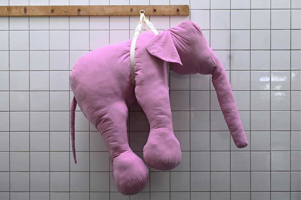 Picture: PINK ELEPHANT