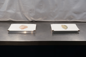 Picture: Archivfoto_03