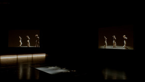 Picture: (Un)Stopped Motion