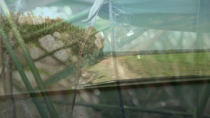 Bild:  video stills