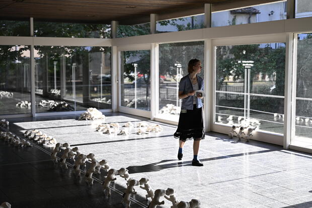 Bild:  Ausstellungsansicht mit Rezipientin - Ambassadors 