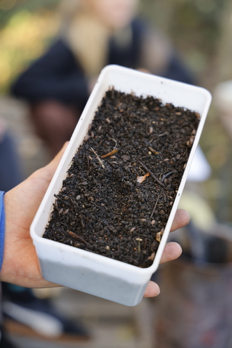 Bild:  Education programme Compost