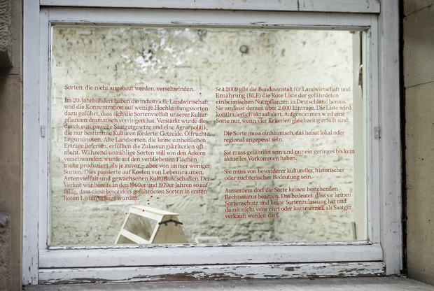 Bild:  Ausstellungstext an der Fensterfront