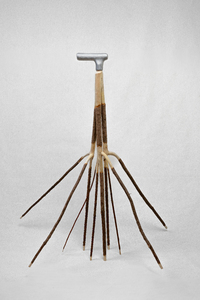 Bild:  Forest Cane Finn De Bruyn