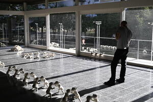 Picture: Ambassadors - Ausstellungsansicht