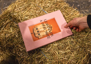 Bild:  Leaving on a High Note