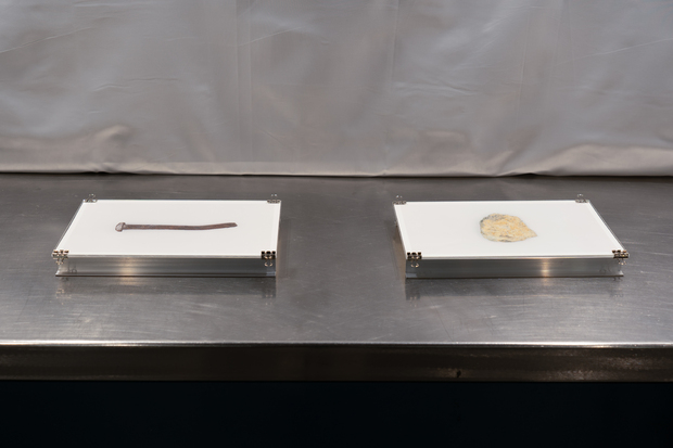 Bild:  Archivfoto_02